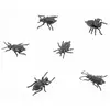 Image de Lot de 6 Insectes noirs pvc 6cm