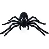 Image de AraignÃ©e squelette noire floquÃ©e 22cm