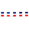 Image de Guirlande 10 drapeaux France Bleu Blanc Rouge 5m