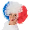 Image de Perruque XXXL afro Supporter France