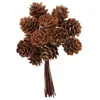 Image de Bouquet 12 mini Pommes de pins naturelles sur tige 11cm