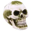 Image de Petit CrÃ¢ne rÃ©sine avec mousse verte 7cm
