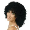 Image de Perruque cheveux curly frisÃ©s, Noir