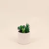 Image de Plante Grasse Artificielle Pot Beige