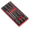 Image de Module Mousse 10 Tournevis Protwist Cruciforme - Modm.at5pb - Ce Produit De Marque Est Neuf. - Facom