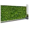 Image de Idmarket - Brise Vue Occultant 1 X 10 M Imprimé Feuillage 160 Gr/m²