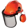 Image de Casque Forestier Complet