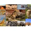 Image de Graphiques 1 500 pièces