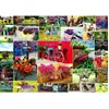 Image de GRAFIKA Puzzle Collage : Roues 1500 pièces