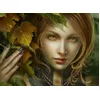 Image de Graphiques 2 000 pièces