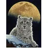 Image de Grafika Puzzle Moon Leopard - Schim Schimmel - 2000 pièces jeu de pose