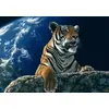 Image de Grafika Puzzle Only One Home - 2000 pièces, jeu de construction coloré