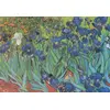 Image de Puzzle graphique Van Gogh Vincent - Saint-Remy - Les Iris 1000 pièces