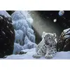 Image de Grafika Puzzle Schim Schimmel Ice House 1000 pièces Carton
