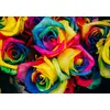 Image de Grafika Puzzle Jeu de pose Bouquet de roses - 1000 pièces motif floral