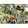 Image de Grafika Puzzle Promenade au Zoo - 500 pièces jeu de puzzle