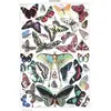 Image de Grafika Puzzle Papillons 1000 pi ¨ces Puzzle en carton