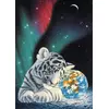 Image de Grafika Puzzle Schim Schimmel - Earth Light - 1000 pièces puzzle