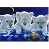 Image de Puzzle Grafika Schim Schimmel - Secret, Mystère et Espoir - 1500 pièces