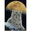 Image de Illustration 00411