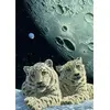 Image de Puzzle Grafika Schim Schimmel - Lair of the Snow Leopard - 2000 pièces animaux