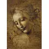 Image de Puzzle Bluebird « Leonardo da Vinci : La Scapigliata »   1 000 pièces