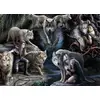Image de BLUEBIRD Puzzle Les loups 1500 pièces