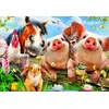 Image de Bluebird Puzzle Puzzle Petting Farm - 300 pièces jouet coloré