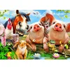 Image de Bluebird Puzzle Jeu de pose Petting Farm - 500 pièces jouet coloré