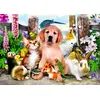 Image de Casse-tête Bluebird Puzzle Good Companions - 500 Teile bunt