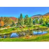 Image de BLUEBIRD Puzzle Stowe, Vermont, USA 1000 pièces