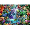 Image de Bluebird Puzzle Puzzleteile Tropical Hummingbirds - 1000 Stück Tiere