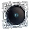 Image de Eurohm Square Interrupteur Va Et Vient Lumineux/témoin Anthracite - 60303