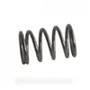 Image de Ressort Crochet De Porte Pour Lave-linge Hotpoint - Ariston C00052870