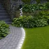 Image de Guirlande Lumineuse Solaire Led Blanche 2m