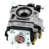 Image de Carburateur Alko Ak411286 - 411286