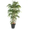 Image de Plante Artificielle Haute Gamme Spécial Extérieur / Bambou Artificiel Coloris Vert - Hauteur 120 Cm