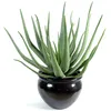 Image de Pegane - Plante Artificielle Haute Gamme Spécial Extérieur / Aloevera Artificielle - Dim : 70 X 40 Cm