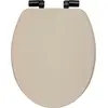 Image de Abattant WC Collection Onyx Lin