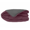 Image de Couette Chaude Microfibre Bicolore 400 Gr/m2 Prune 140x200 Cm