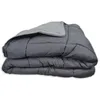 Image de Couette Chaude Microfibre Bicolore 400 Gr/m2 Argent 160x220 Cm