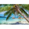 Image de Alipson Puzzle - Puzzle Tropical Beach - 1000 pièces