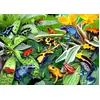Image de Alipson Puzzle jeu de pose Fun Frogs 500 pièces jouet coloré