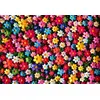 Image de Alipson Puzzle Fleurs Petal Explosion - 1000 pièces