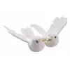 Image de Colombes Alliances blanches 15cm
