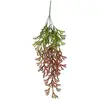 Image de Branche d'Algue, dégradé Vert et Rouge 80 cm
