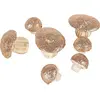 Image de Lot de 7 Champignons en mousse 3,5/6,5 cm paillettes Rose Gold