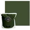 Image de Peinture Acrylique Velours Murs Et Plafonds 5l Vert Crocodile