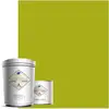 Image de Peinture Résine Époxy 0,75l Mat 10m² Vert Absinthe Toxic Mickey