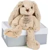 Image de Doudou Histoire d'Ours Peluche lapin beige 25 cm